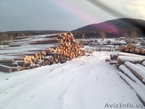 Продажа обрезной доски, круглого леса - производитель из Свердловской области - Изображение #5, Объявление #1210748