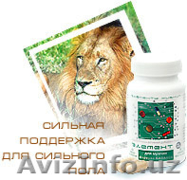 Продам бизнес-места  - Изображение #2, Объявление #3573