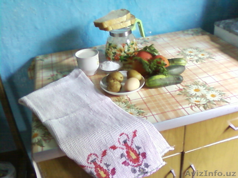 Дом в предгорьях Алтая - Изображение #10, Объявление #899259