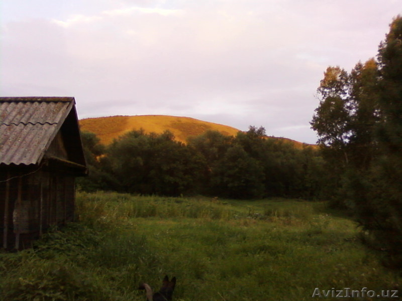 Дом в предгорьях Алтая - Изображение #2, Объявление #899259