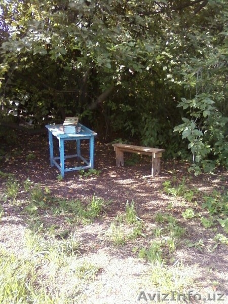 Дом в предгорьях Алтая - Изображение #5, Объявление #899259